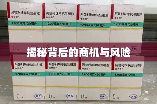 镇江揭秘背后的商机与风险