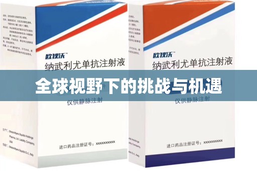 镇江全球视野下的挑战与机遇