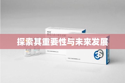 镇江探索其重要性与未来发展
