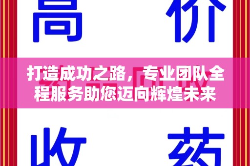 镇江打造成功之路，专业团队全程服务助您迈向辉煌未来