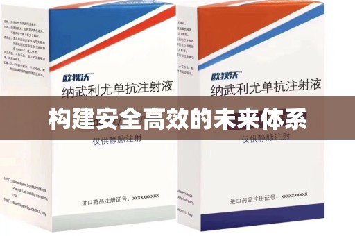 镇江构建安全高效的未来体系