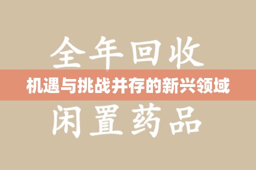 镇江机遇与挑战并存的新兴领域