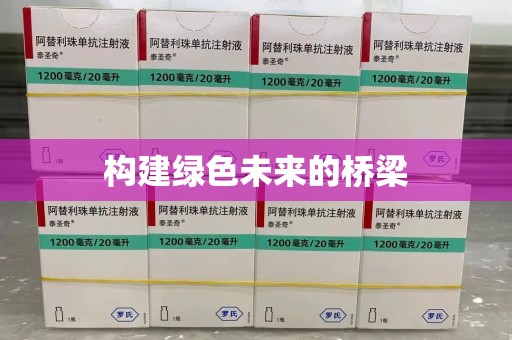 镇江构建绿色未来的桥梁