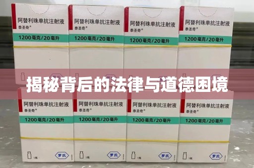 镇江揭秘背后的法律与道德困境