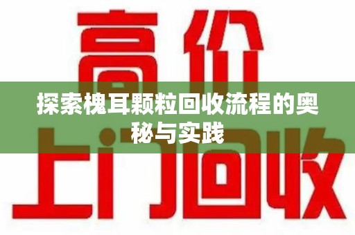 镇江探索槐耳颗粒回收流程的奥秘与实践