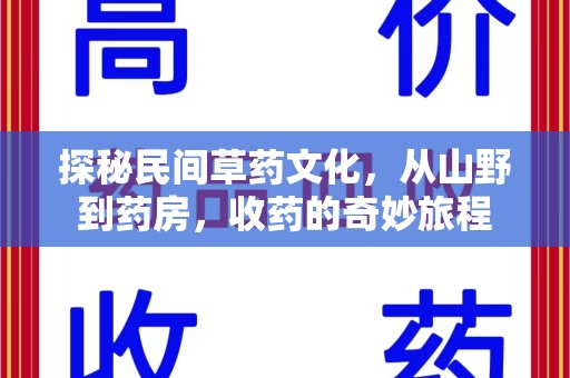 镇江探秘民间草药文化，从山野到药房，收药的奇妙旅程